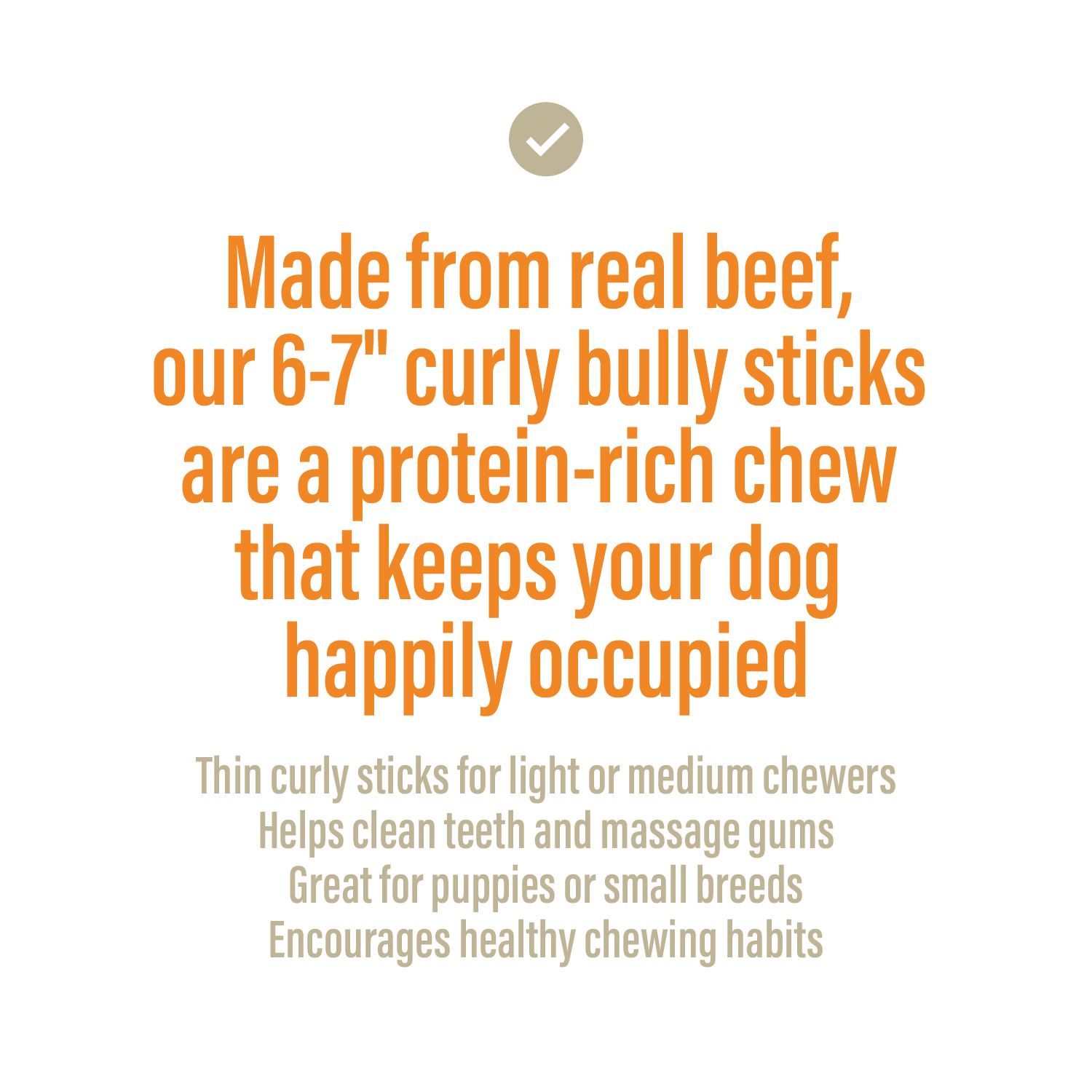 Bully Spring Extra Thin for Dogs (4oz)-2