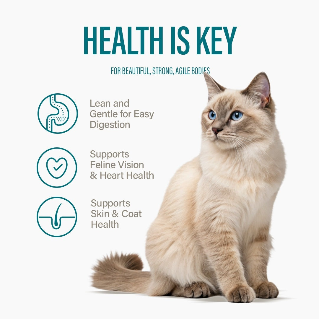 Variety Pack Dinner for Cats – 3 Flavors-3
